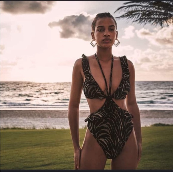 NWOT Devon Windsor Size Small Zebra
Monokini One Piece - Picture 1 of 2